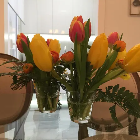 Apartamento Atico Alfonso-Xiii Апартаменти Кордова
