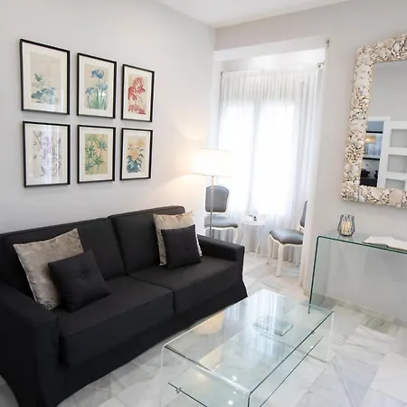 Apartamento Atico Alfonso-Xiii
