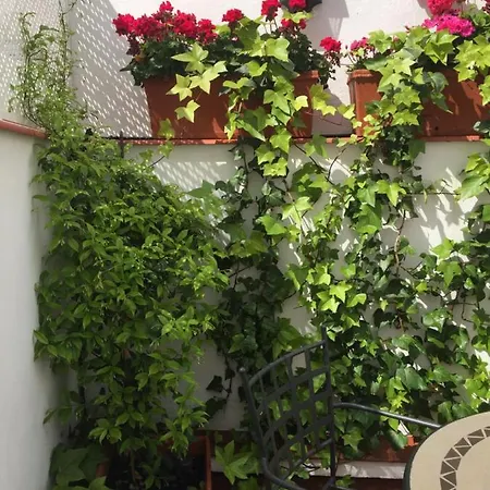 公寓 Alfonso Xiii Parking 科爾多瓦