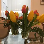 Alfonso Xiii Parking Lejlighed Córdoba